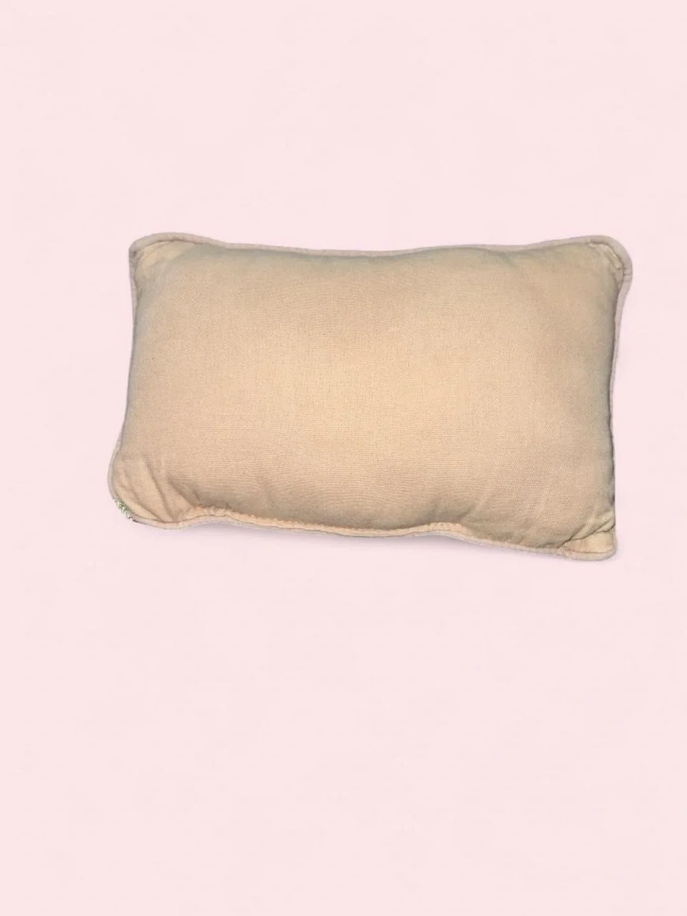 Decorative Throw Pillow - 